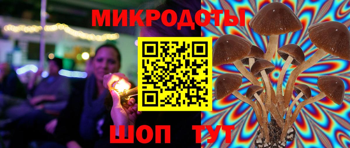 Галлюциногенные грибы мухоморы Костомукша